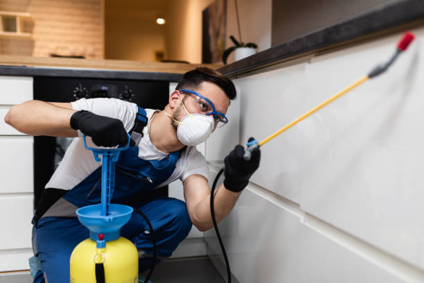 Best Pest Inspection Near Me  in Mcmechen, WV
