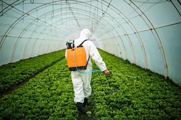 Best Affordable Pest Control Services  in Mcmechen, WV