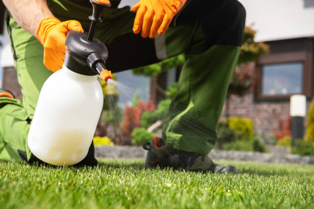 Best Commercial Pest Control Services  in Mcmechen, WV