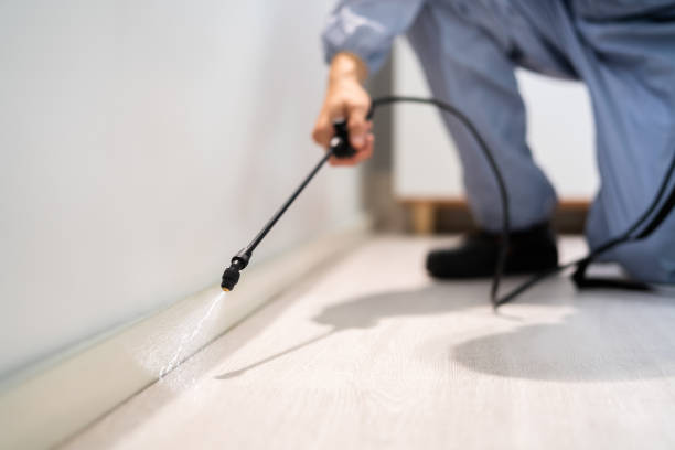 Best Pest Prevention Services  in Mcmechen, WV
