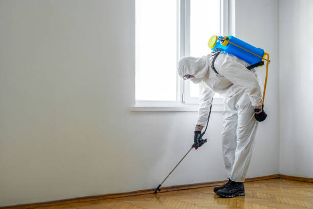 Trusted Mcmechen, WV Pest Control Experts