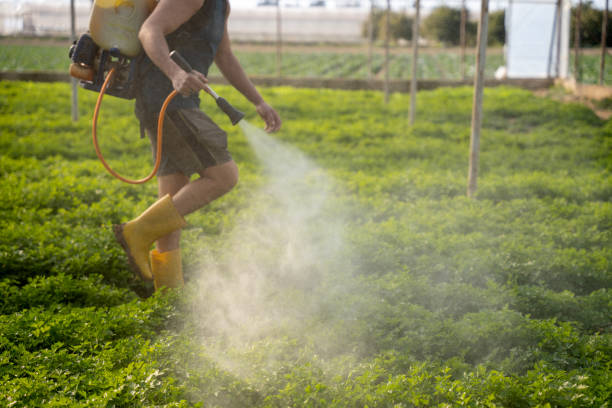 Best Pest Control for Restaurants  in Mcmechen, WV
