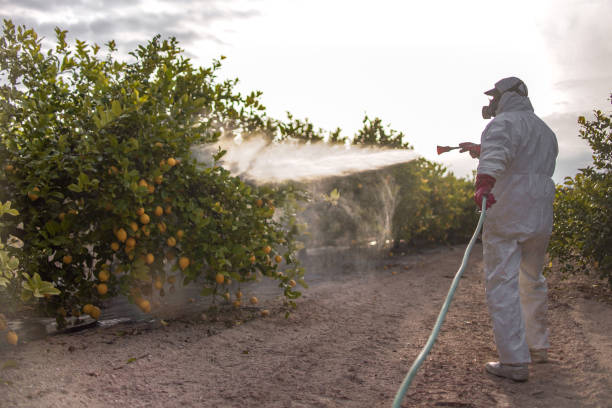 Best Pest Control Near Me  in Mcmechen, WV