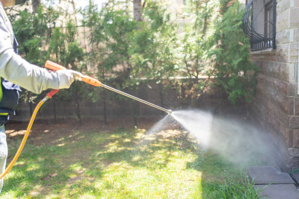 Best Pest Removal Services  in Mcmechen, WV