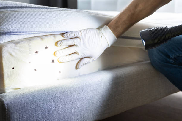 Best Best Pest Control Companies  in Mcmechen, WV