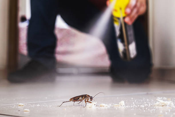 Flea Control Services in Mcmechen, WV