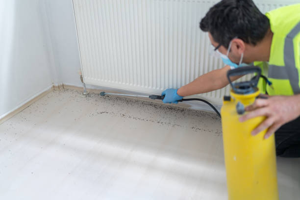Best Ant Control Services  in Mcmechen, WV