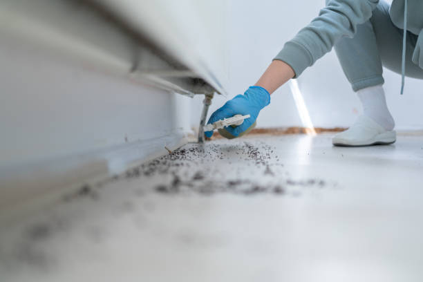 Pest Control for Restaurants in Mcmechen, WV